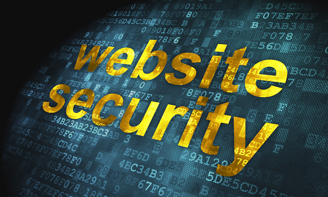 Website Security Banner