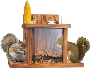 Squirrel Feeder